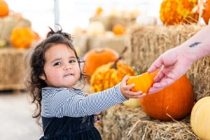 Hill Country Pumpkins Patch