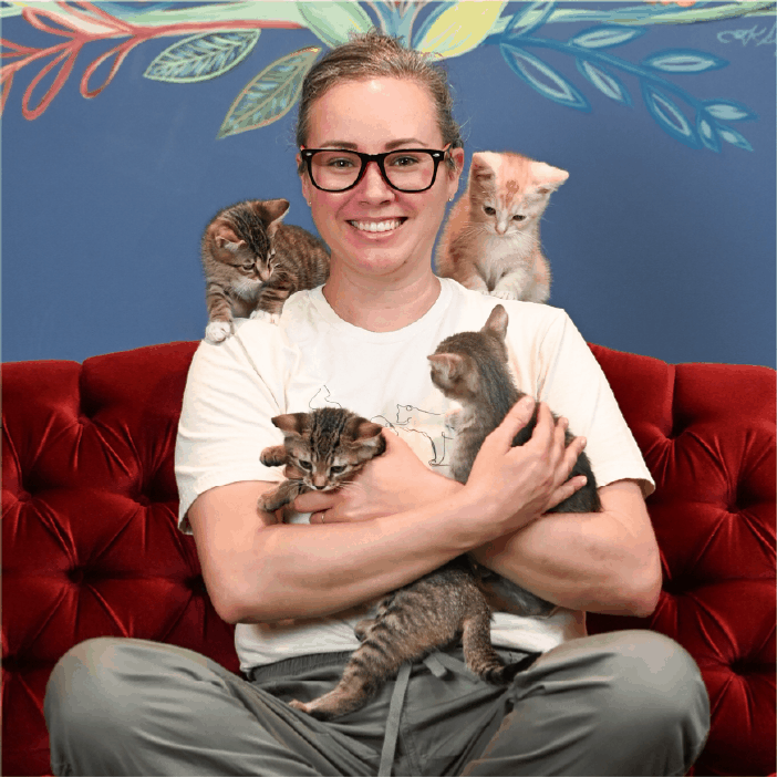 The Kitty Cup's cat room in Port St. Lucie, Florida