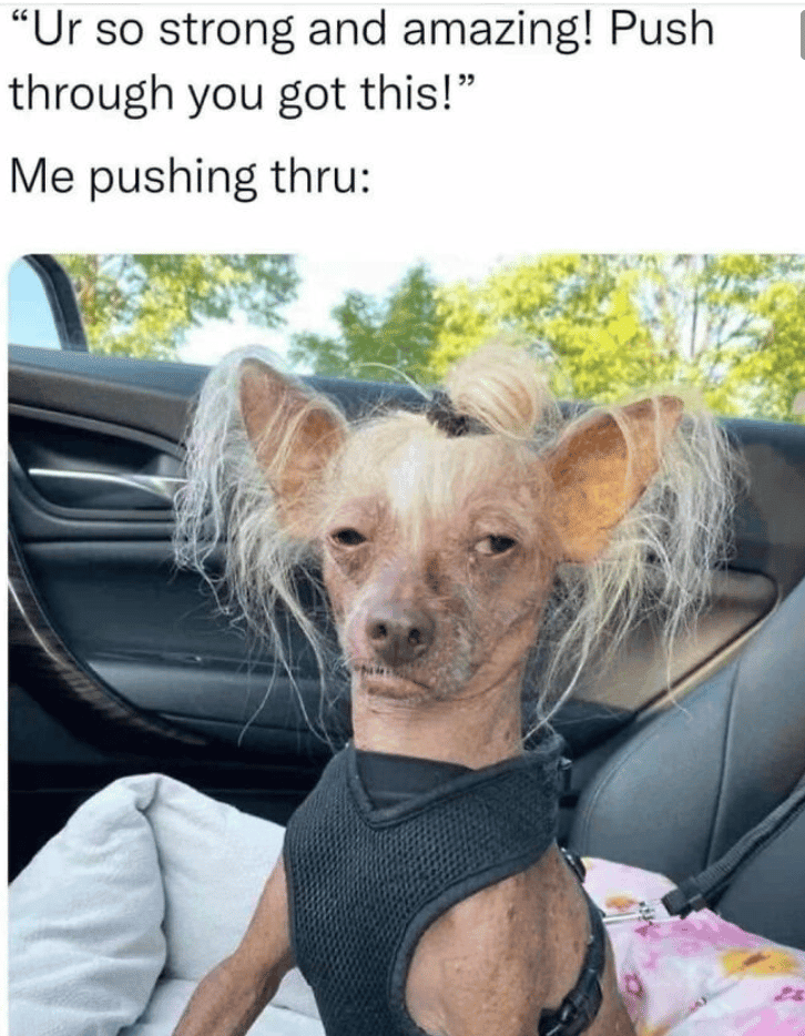 Meme 3