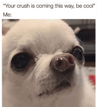 Meme 2