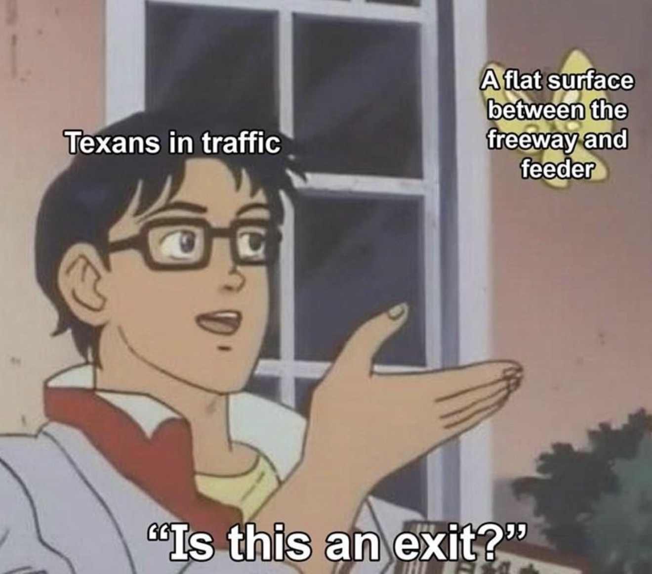Meme 5