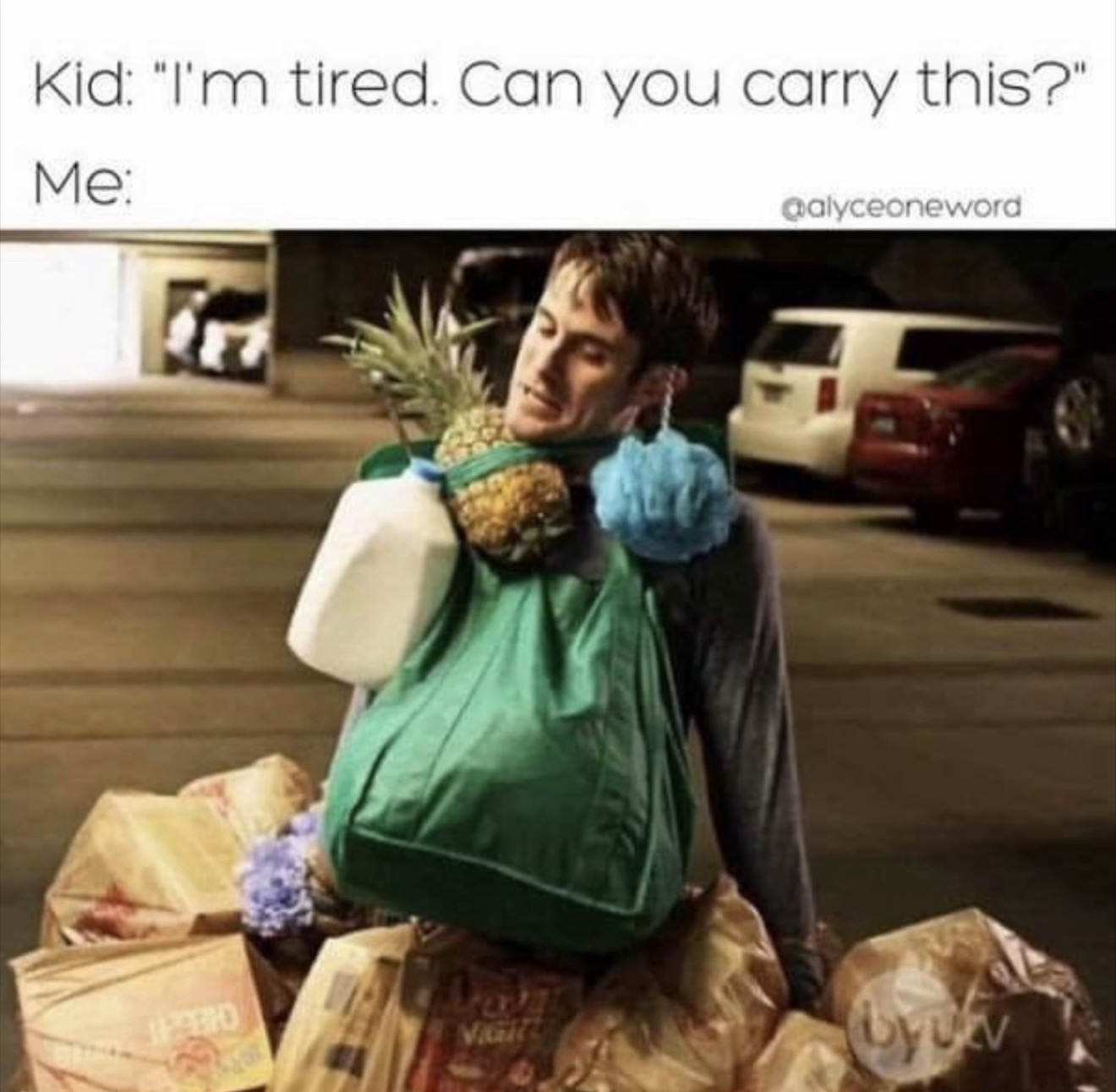 Meme 2